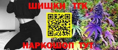 spice Обнинск