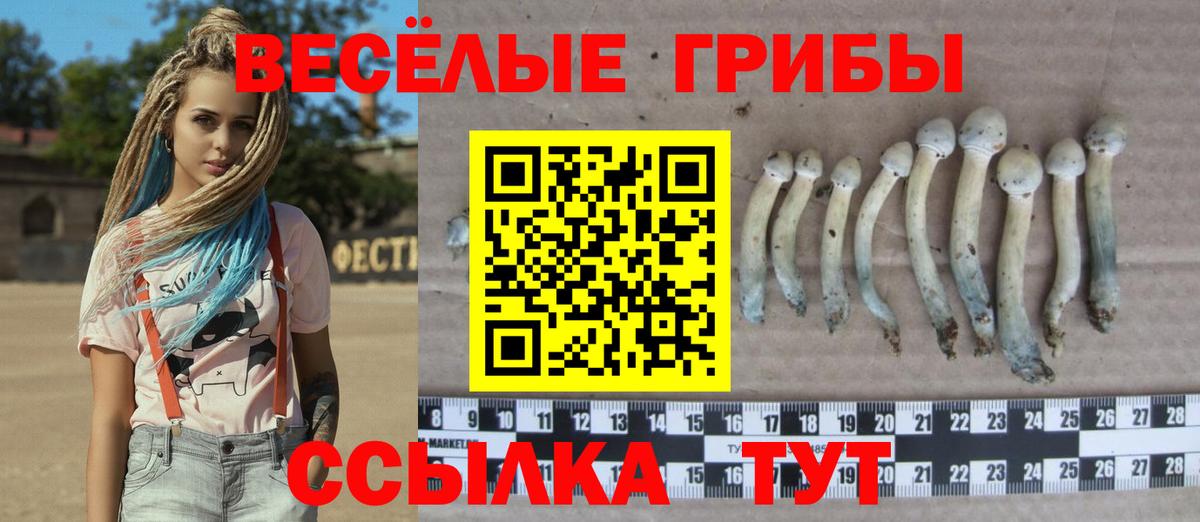 Псилоцибиновые грибы Psilocybine cubensis  Вход с VPN  Богородск 